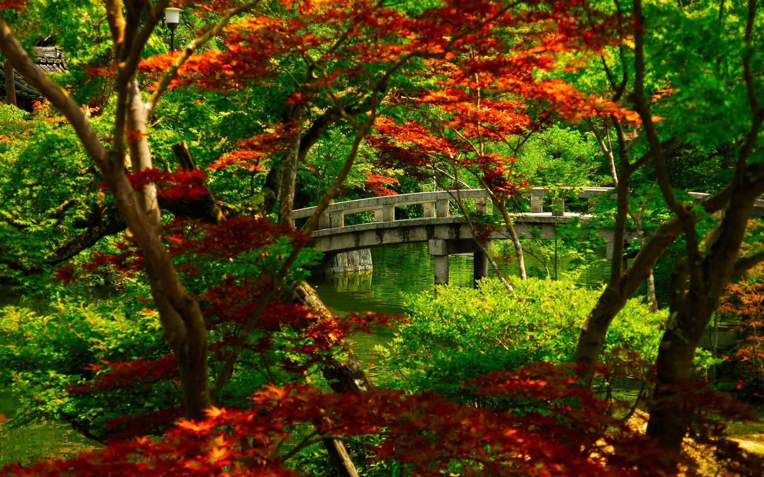 Japanese garden kyoto scaled
