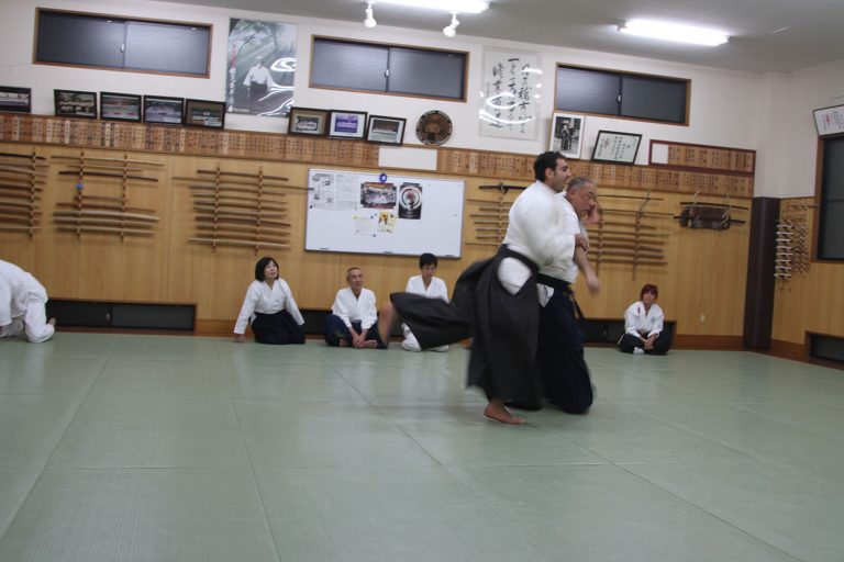 japonya22