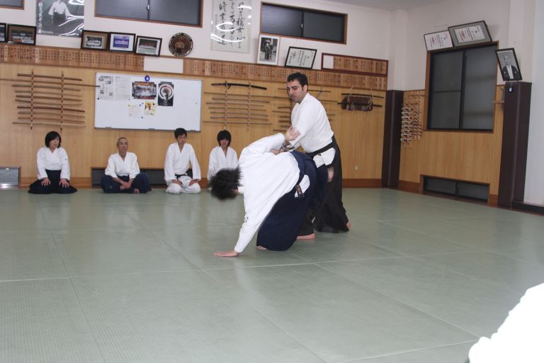 japonya25