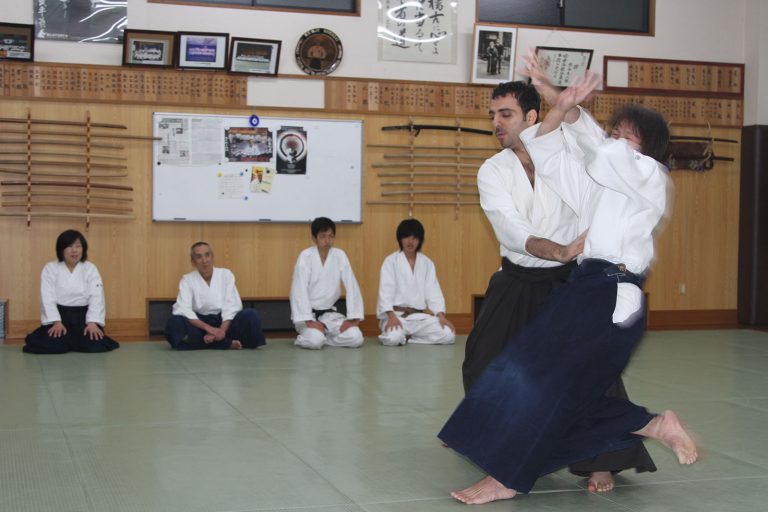 japonya27