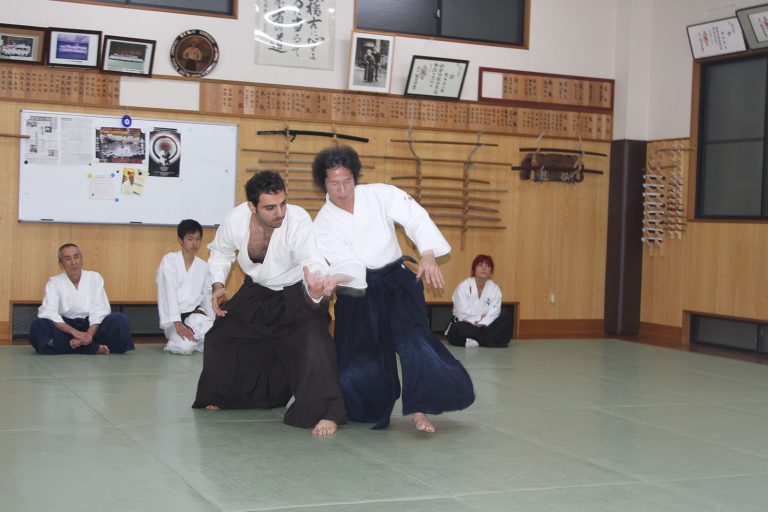 japonya29
