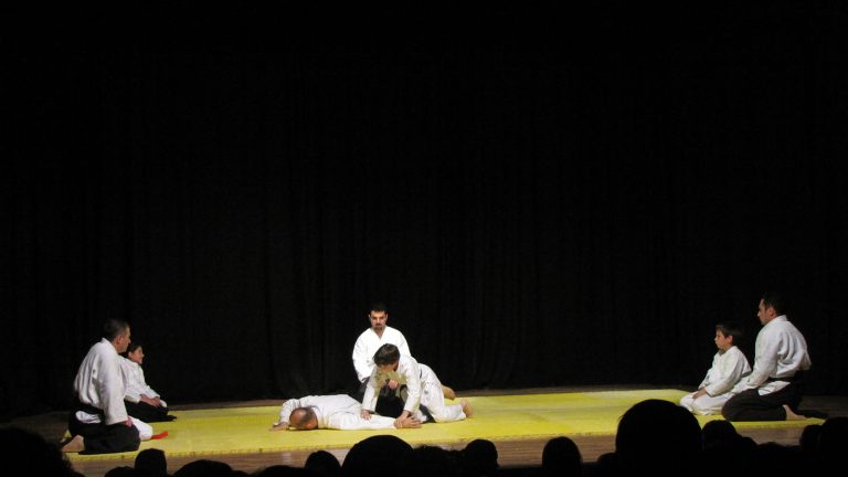 timaikido13
