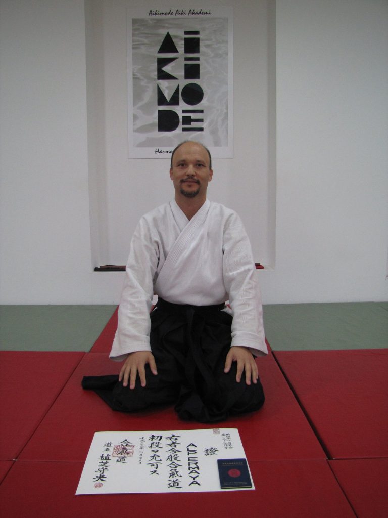 dandiploma6