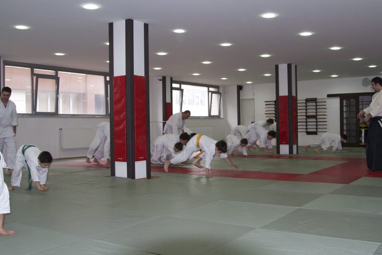 2012aikido3