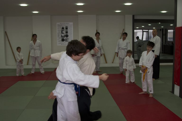 2012aikido6