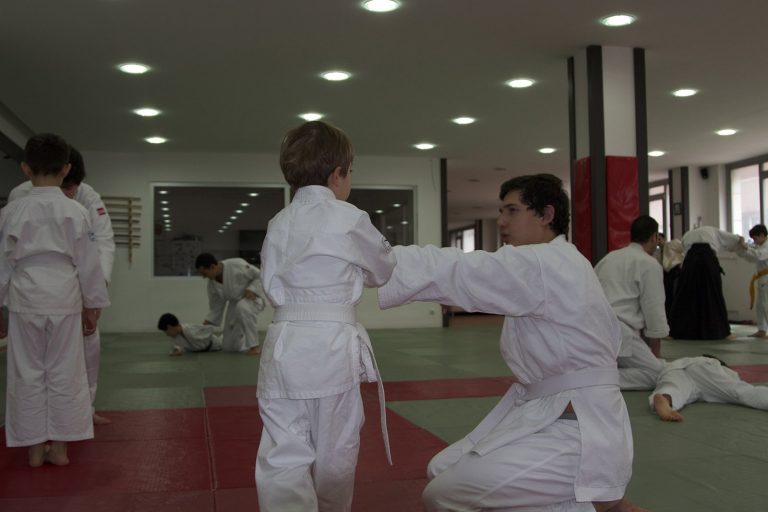 2012aikido7
