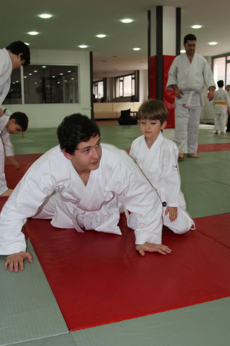 2012aikido8