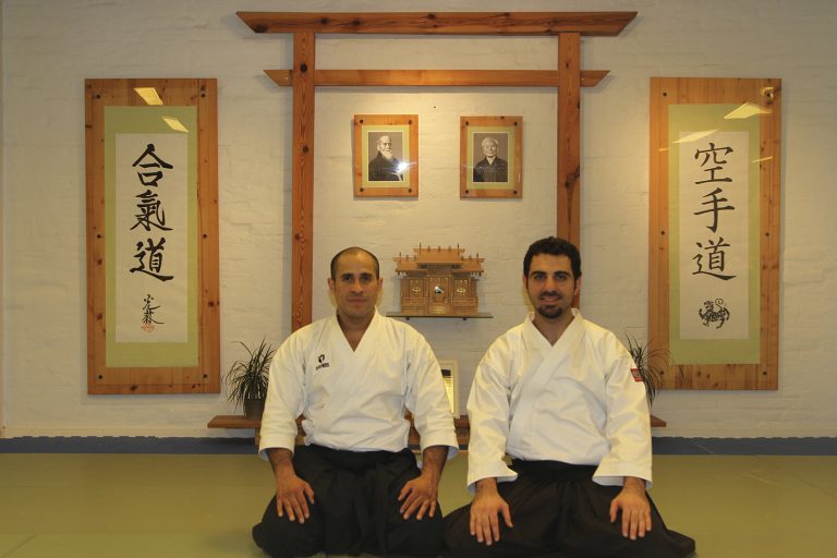 danimarkasemineri10