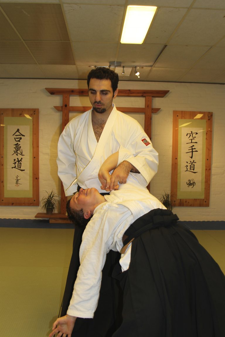 danimarkasemineri2