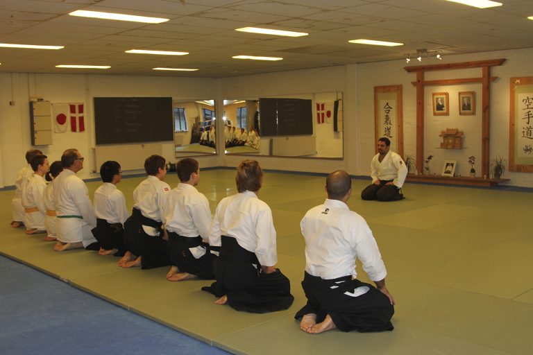 danimarkasemineri4