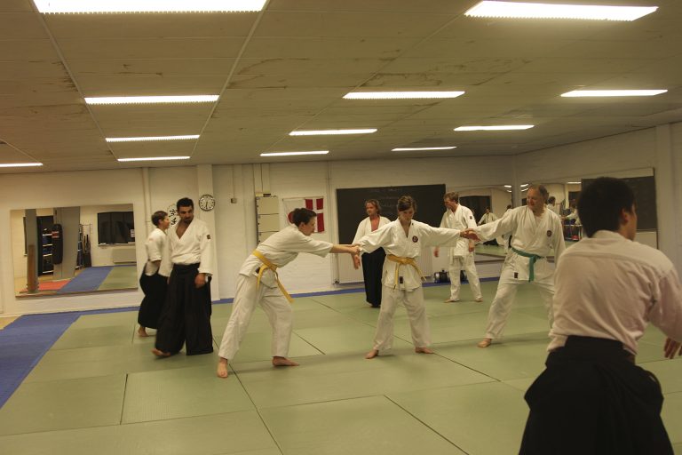 danimarkasemineri5