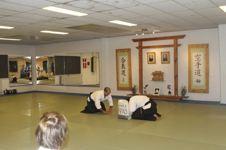 danimarkasemineri6