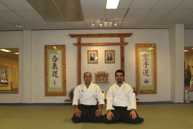 danimarkasemineri9
