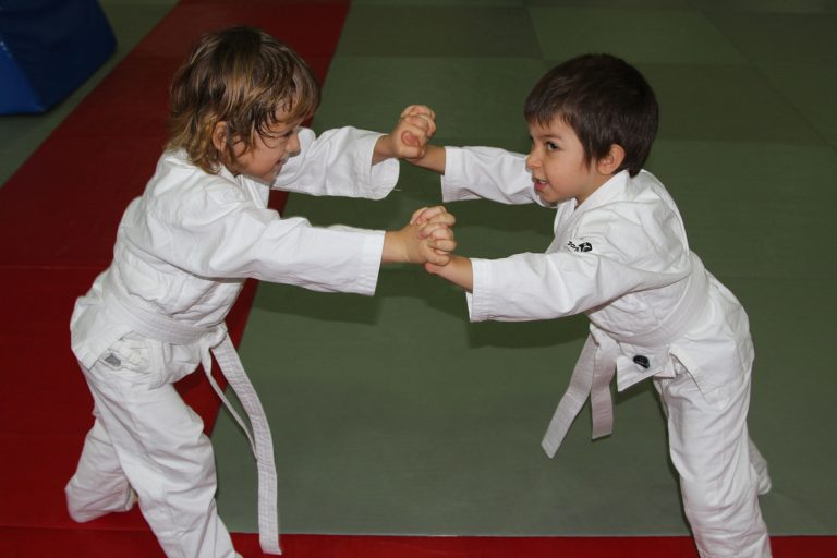 miniaikido1