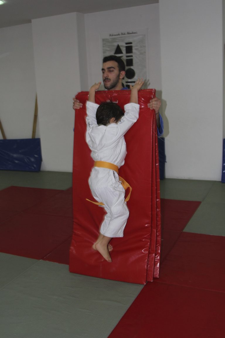 miniaikido2