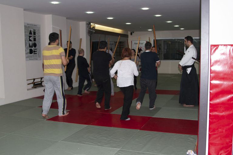 girisimsavascilariaikido7