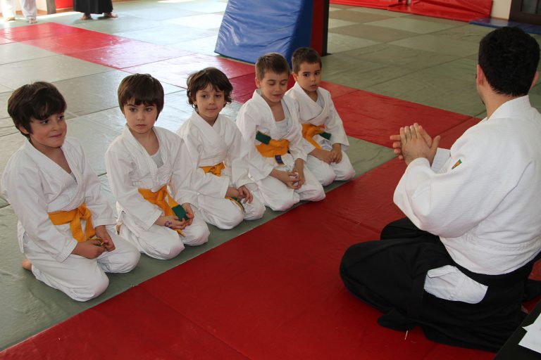 aikido 4 7 yas 3