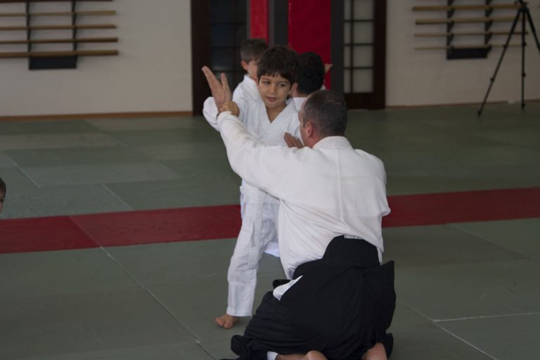 aikido 4 7 yas 7