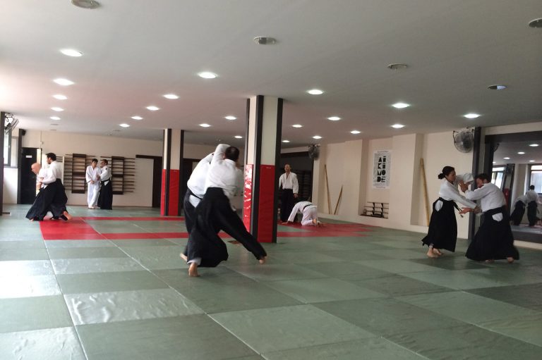 aikido 8 12 yas 11