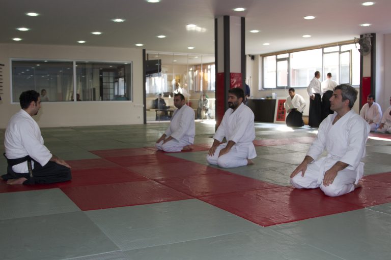 aikido25 35 3