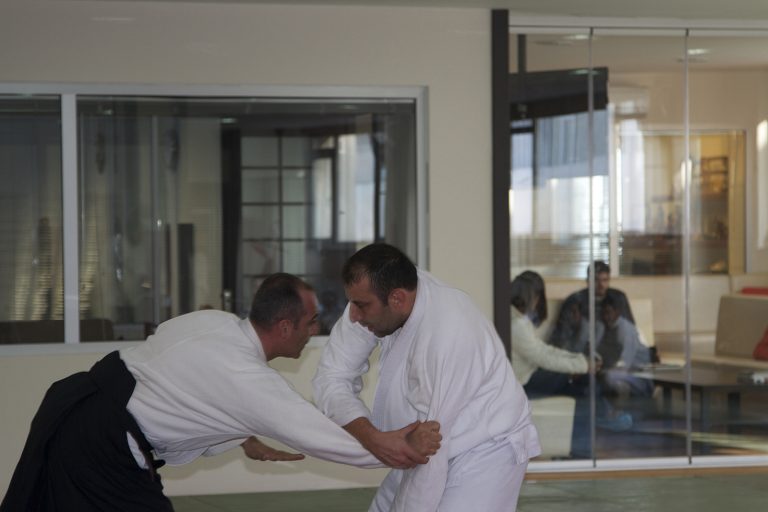 aikido25 35 6