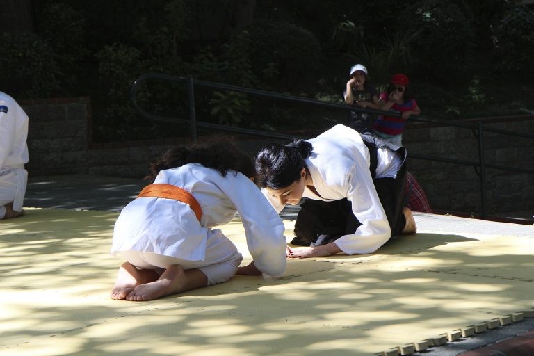 bumed senligi 2013 3