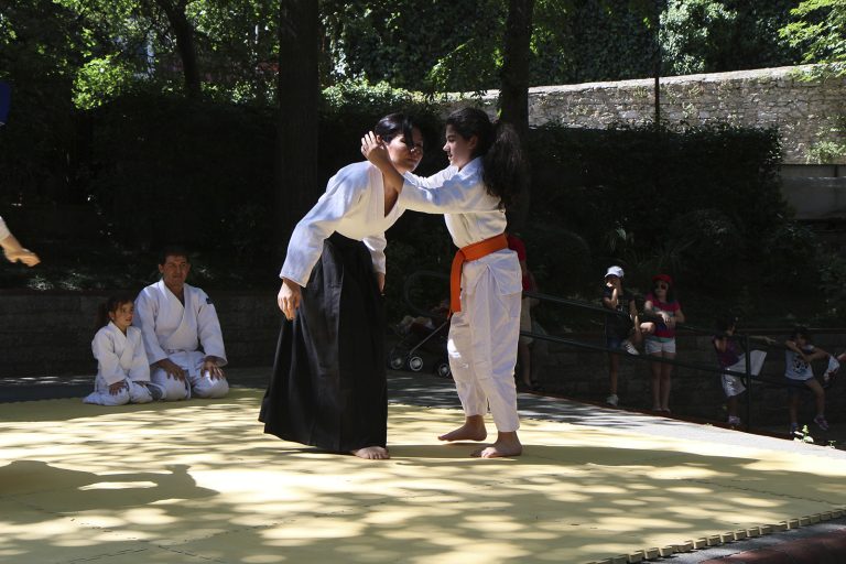 bumed senligi 2013 4