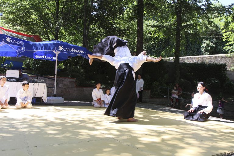 bumed senligi 2013 5