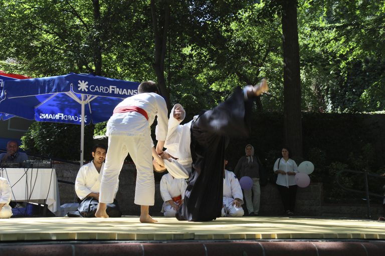 bumed senligi 2013 6