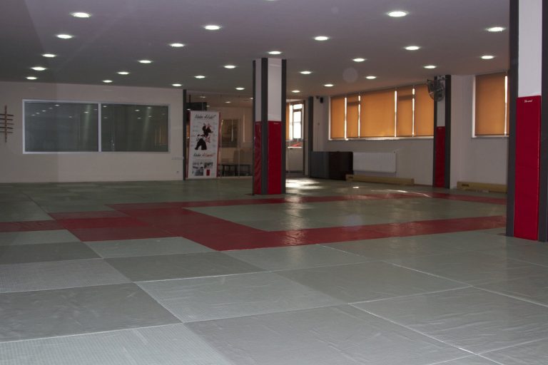 dojo yenileme 2