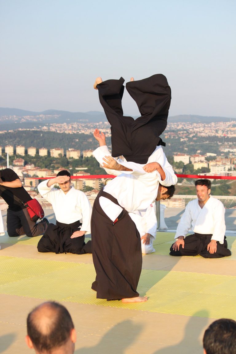goklerde aikido 9