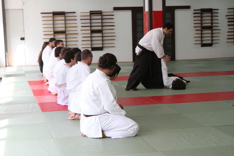 haftaiciaikido2