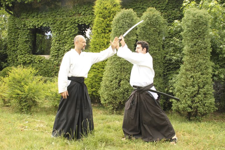 meyaikido3