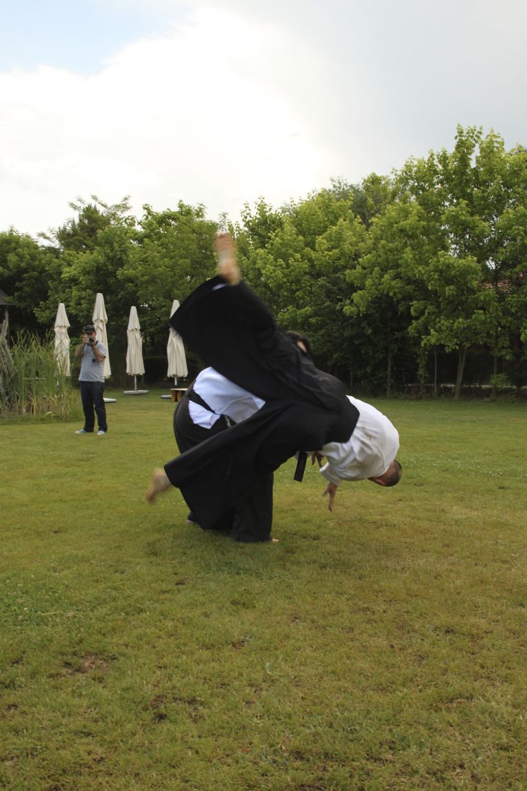 meyaikido6