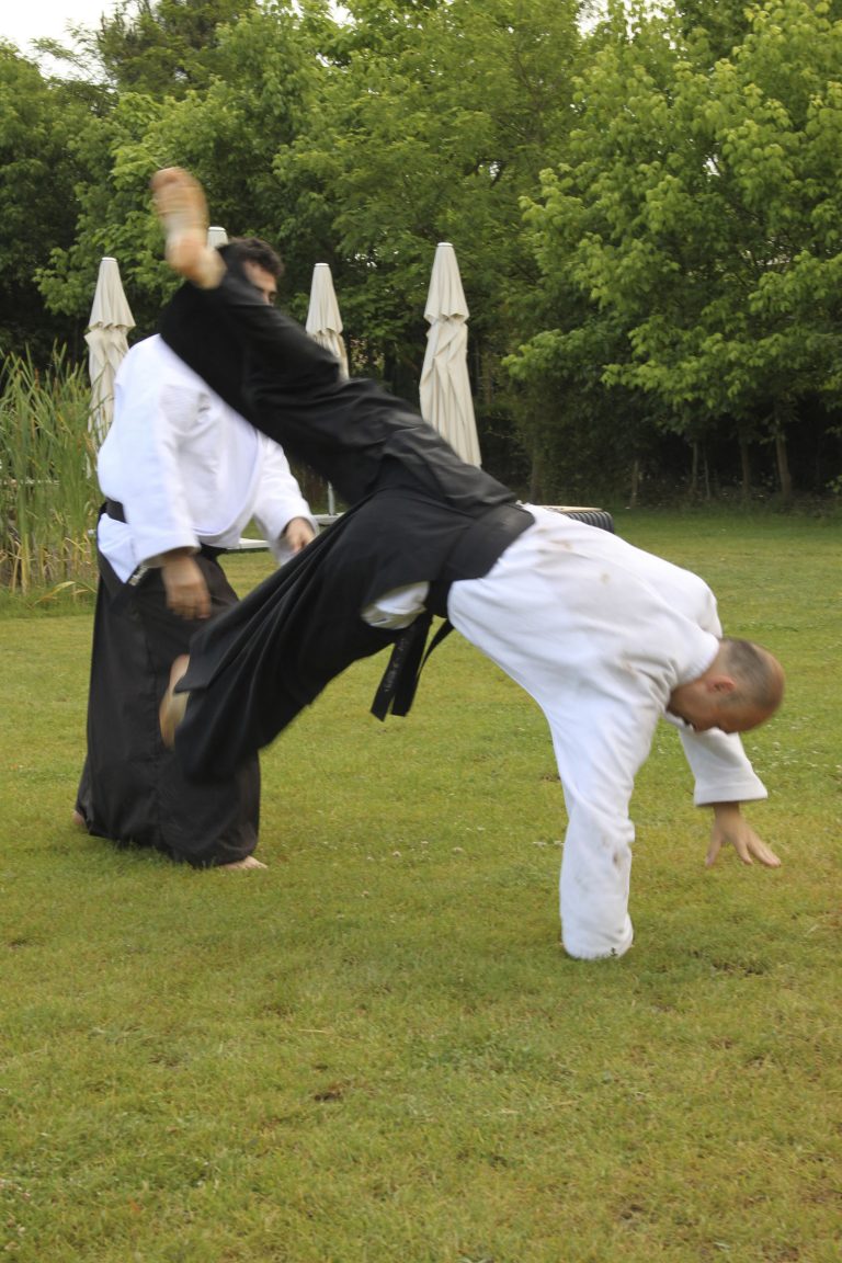 meyaikido7