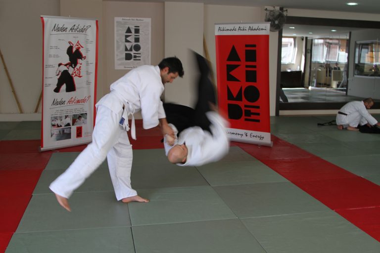 ruzgar aksoy aikimode 3