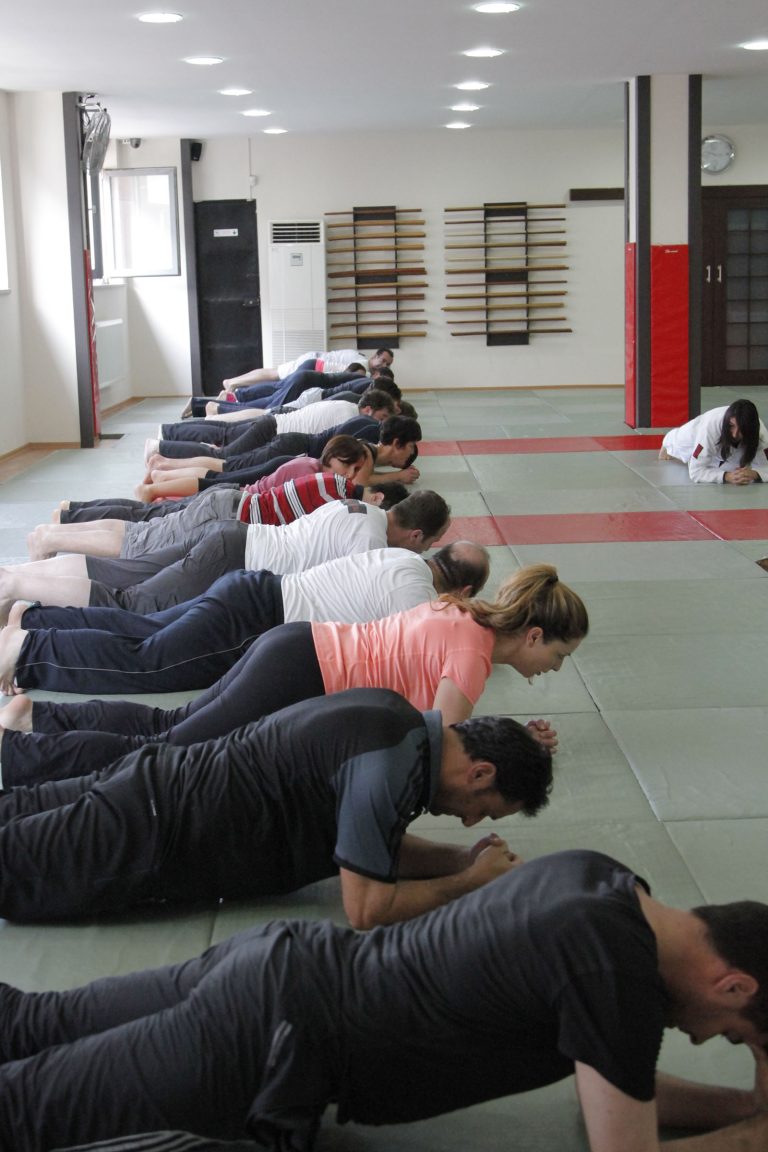 girisimsavascilariaikido7
