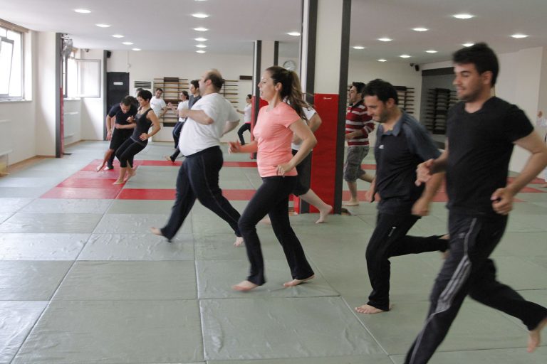 girisimsavascilariaikido9