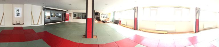 panaromik aikimode aiki akademi 15