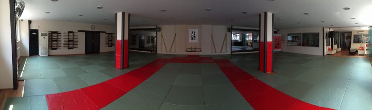 panaromik aikimode aiki akademi 16