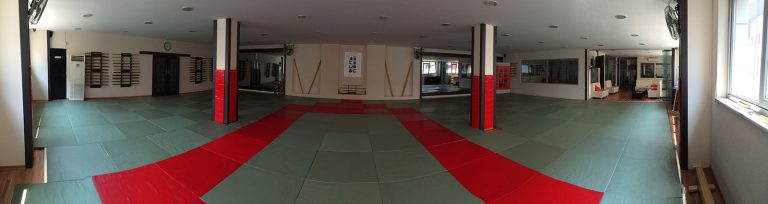 panaromik aikimode aiki akademi 7