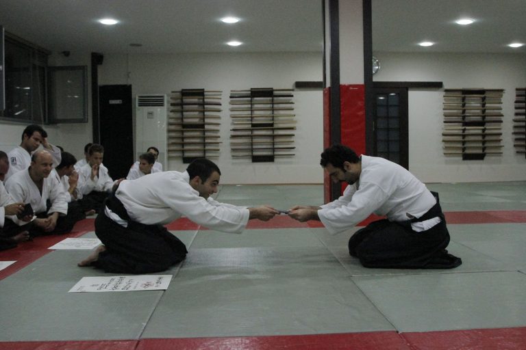 aikidodiplama10