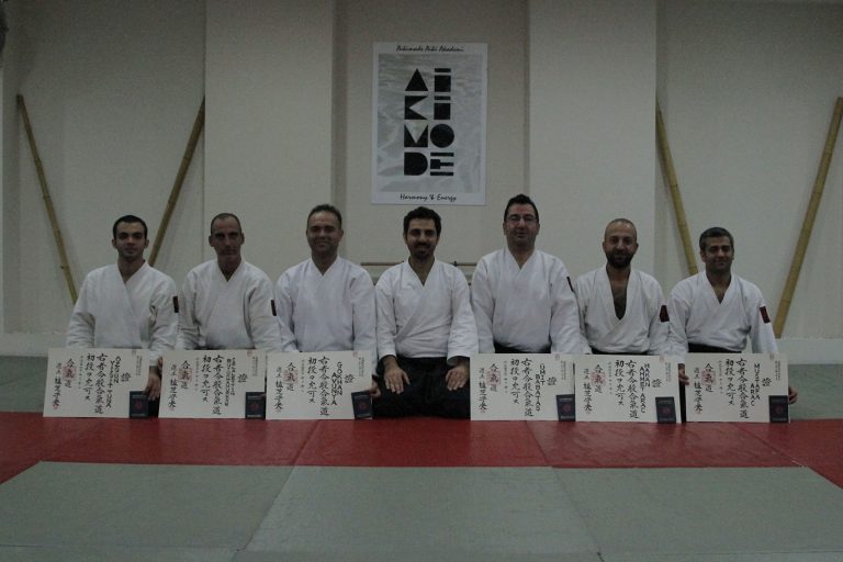 aikidodiplama8