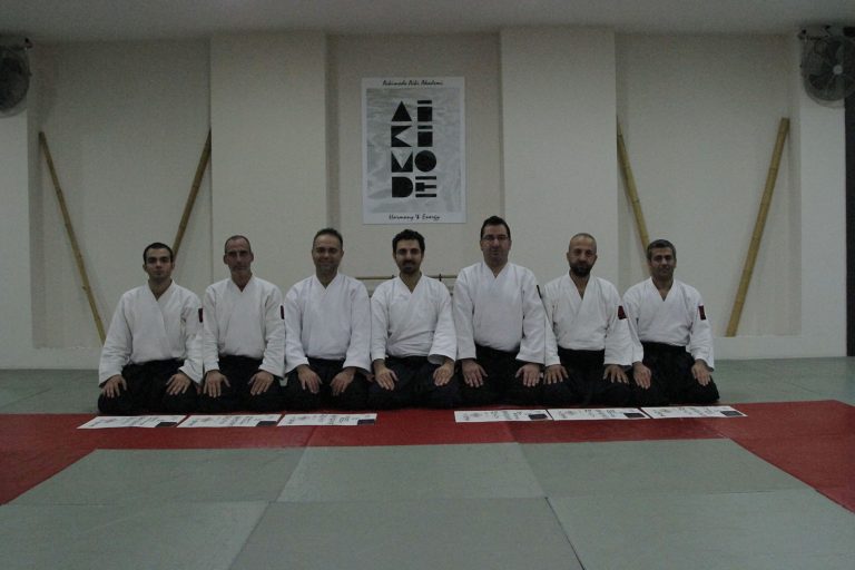 aikidodiplama9