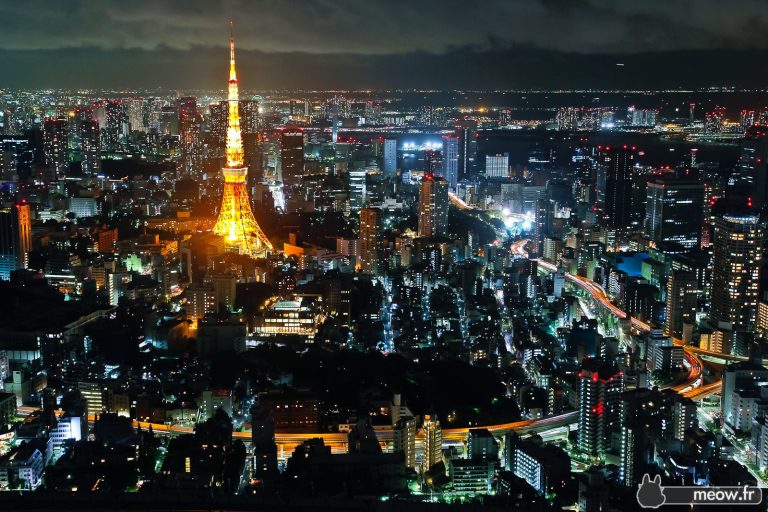 tokyo3