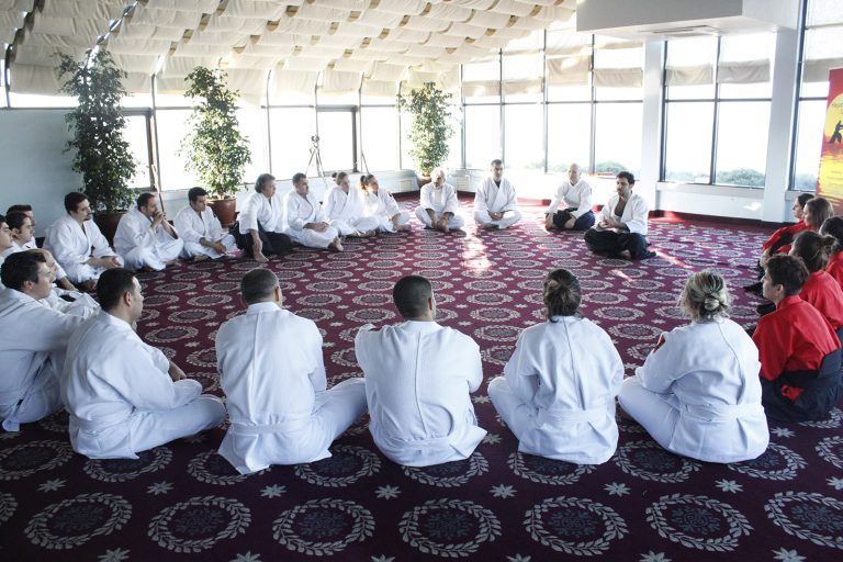 aikimodegsk1