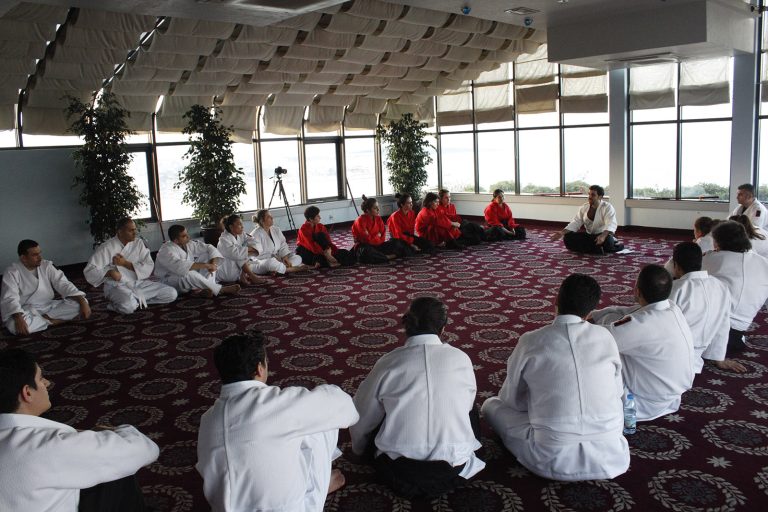 aikimodegsk10