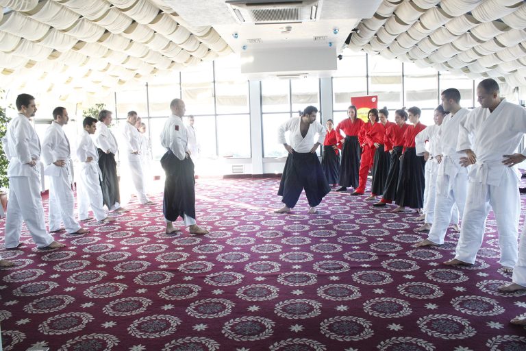 aikimodegsk11