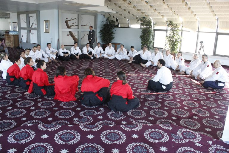 aikimodegsk12