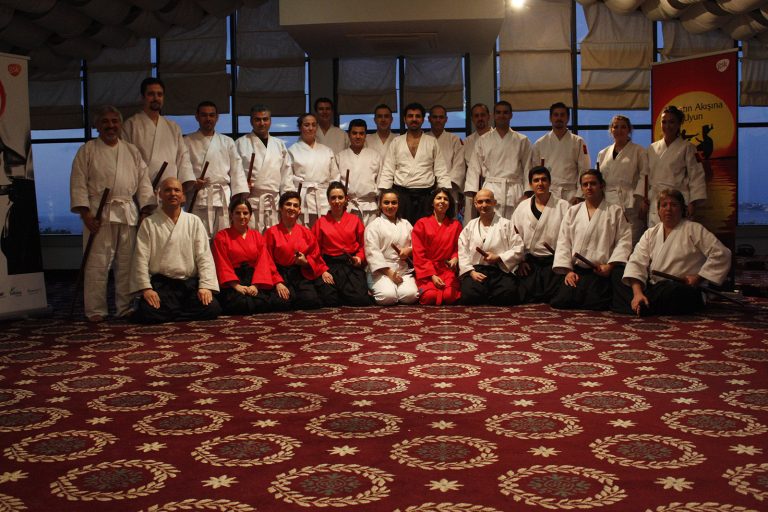 aikimodegsk2